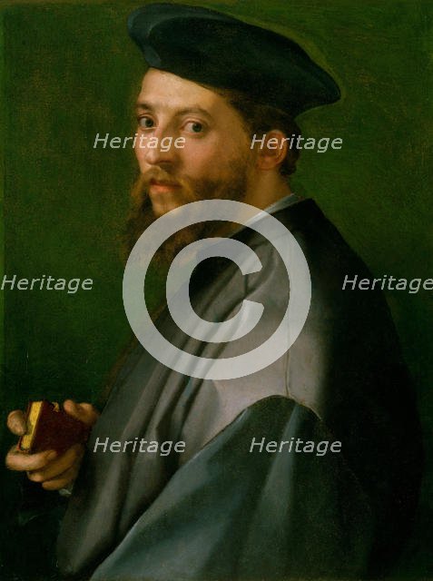 Portrait of a Man, 1528-30. Creator: Andrea del Sarto.