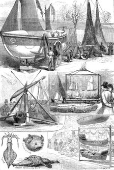 The National Fisheries Exhibition at Norwich: models of lifeboat, fishing apparatus, etc, 1881. Creator: W. P..