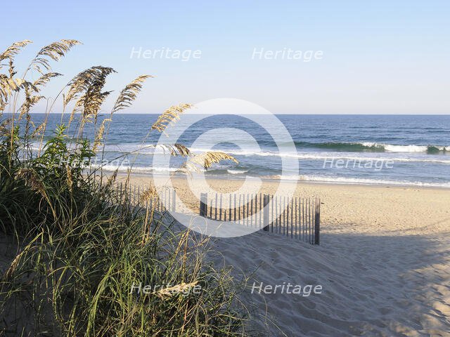 Carolina Contentment. Creator: Eve Turek.