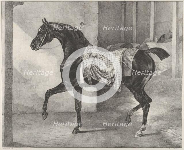 Black Horse Tethered in a Stable, 1822. Creator: Theodore Gericault.