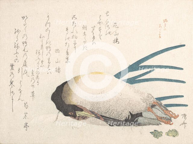 Spring Rain Collection (Harusame shu), vol. 1: Duck and Scallions, 1810s., 1810s. Creator: Shinsai.