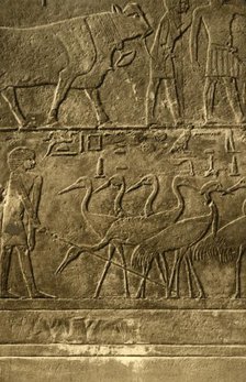 'Saqqara - Tomb of Ti Mural Paintings', c1918-c1939. Creator: Unknown.