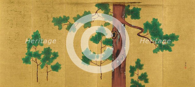 Hinoki Cypress Tree, unknown date, c1820-1850. Creator: Suzuki Kiitsu.