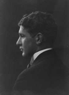 Doubleday, Nelson, Mr., portrait photograph, 1916. Creator: Arnold Genthe.