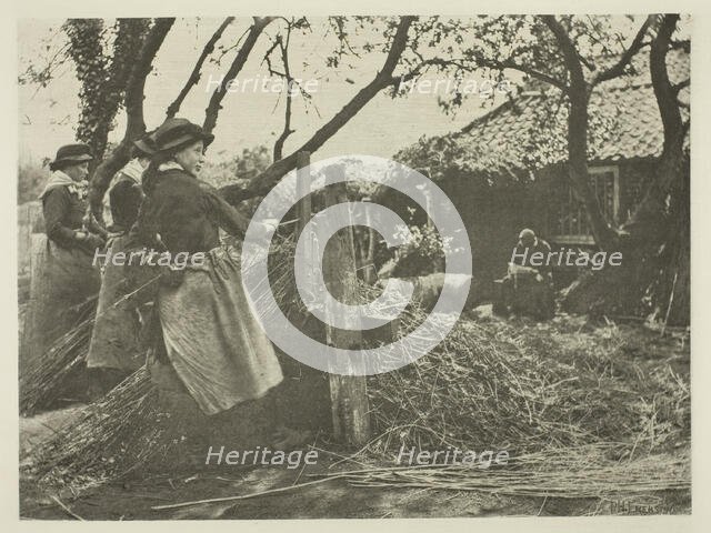 Osier-Peeling (Norfolk), c. 1883/87, printed 1888. Creator: Peter Henry Emerson.