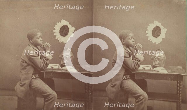 An Aesthetic Darkey from the "Aiken and Vicinity" series, 1882. Creator: James A Palmer.