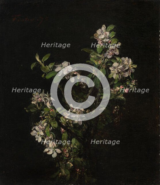 Blossoming branch of an apple tree, 1875. Creator: Henri Fantin-Latour.