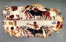 'Scene representing the driving of a large herd of cattle on an Egyptian farm', c1350 BC, (1915.) Creator: Unknown.