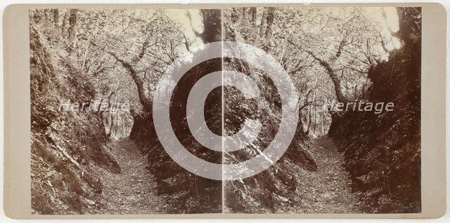 Untitled (Lydford), 1860s. Creator: Unknown.