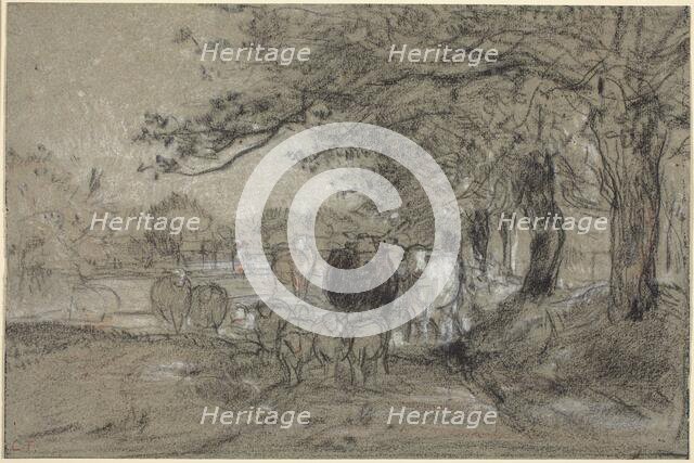 Cows and Sheep under Trees, c. 1850. Creator: Constant Troyon.