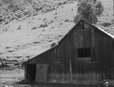 Barn in a valley back of Mission San Jose, Santa Clara County, California, 1939. Creator: Dorothea Lange.