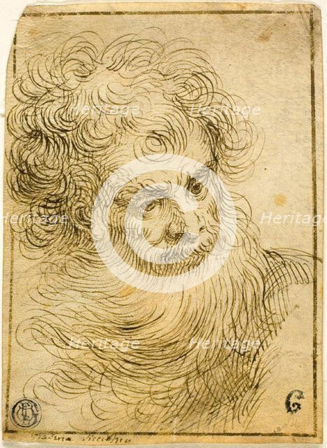 Head of Bearded Old Man (recto), 17th/18th century. Creator: Unknown.