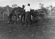 Horse & Cart, 1926. Creator: Jack Bain.