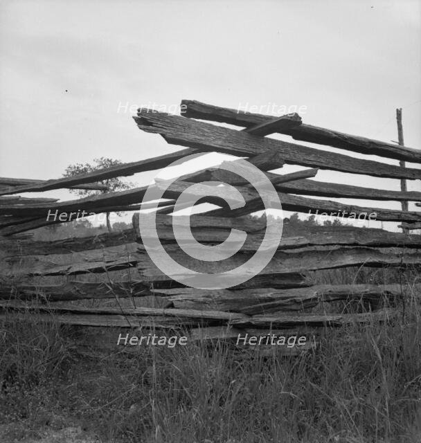 Construction detail of rail fence, Person County, North Carolina, 1939. Creator: Dorothea Lange.