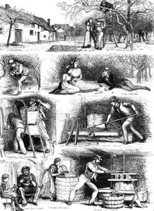 Apple-gathering and cider-making in Devonshire, 1883. Creator: Unknown.