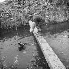River Nar where the Fens gas pipeline crosses the river, Norfolk, 20/09/1967. Creator: John Laing plc.