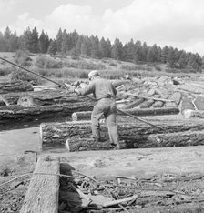 Pond monkey steers log raft in mill pond, Keno, Klamath County, Oregon, 1939. Creator: Dorothea Lange.