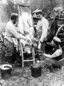 Butchering a sheep on the Front Line, c. 1914-18.