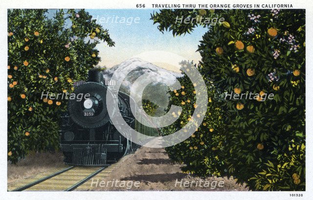 'Traveling through the Orange Groves in California', USA, 1924. Artist: Unknown
