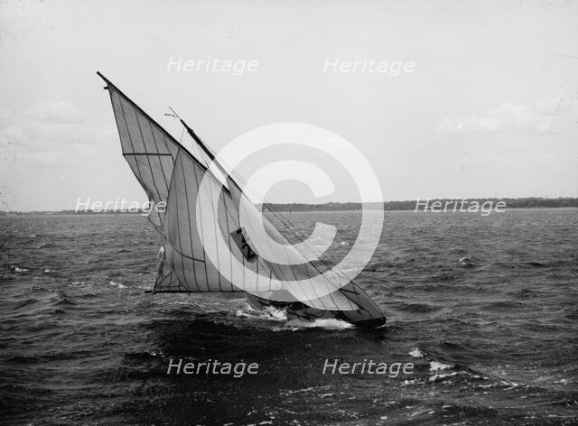 Microbe, 1896 July 25. Creator: John S Johnston.