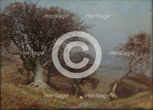 'Beeches on the Quantocks', 1885-1924. Artist: Benjamin Haughton