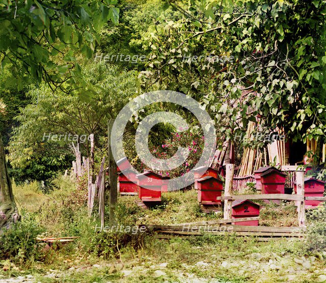 Peasant apiary near Gagra, between 1905 and 1915. Creator: Sergey Mikhaylovich Prokudin-Gorsky.