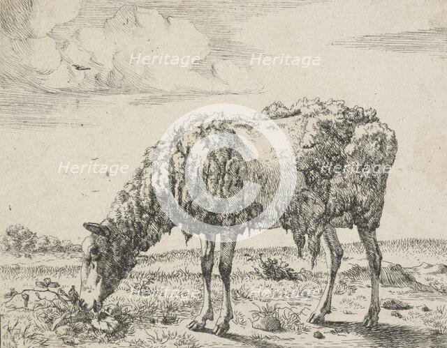 Cows and a sheep. Plate 8: A grazing sheep, 1664. Creator: Marcus de Bye.