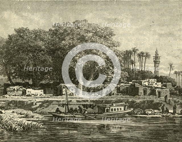 'View on the Delta of the Nile', 1890.   Creator: Unknown.