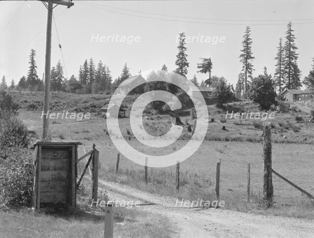 Western Washington stump farm, near Vader, Lewis County, Washington, 1939. Creator: Dorothea Lange.