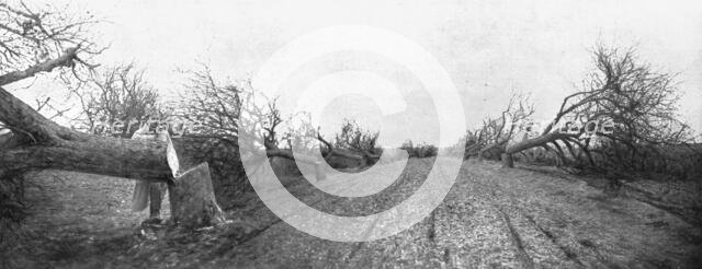 'Le Royaume de la Mort; Un spectacle qui mit la rage au coeur de nos soldats paysans: une rangee de  Creator: Unknown.