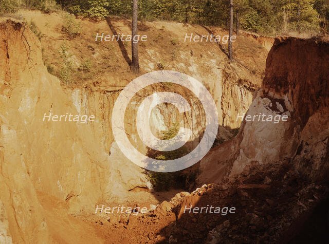 Greene Co. Ga., eroded farm land, 1941. Creator: Jack Delano.