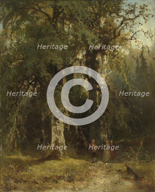View in the Woods, c.1850-c.1890. Creator: Johannes Warnardus Bilders.