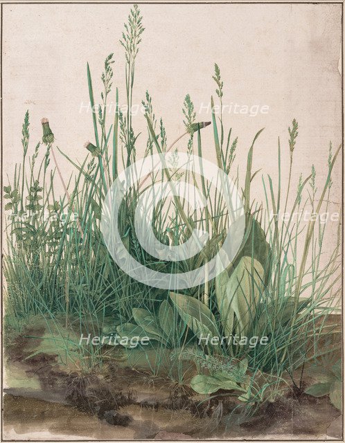 The Large Piece of Turf, 1503. Artist: Dürer, Albrecht (1471-1528)