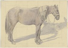 Bridled horse, c1830-1872. Creator: Jakob Becker.