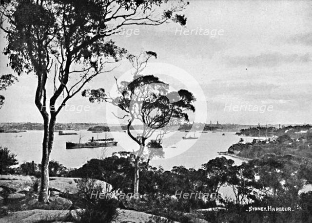 'Sydney Harbour, from Cremorne Point, c1900. Creator: Unknown.