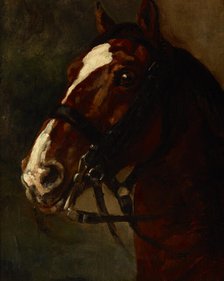 Bay Horse's Head, between 1833-1834. Creator: Piotr Michalowski.