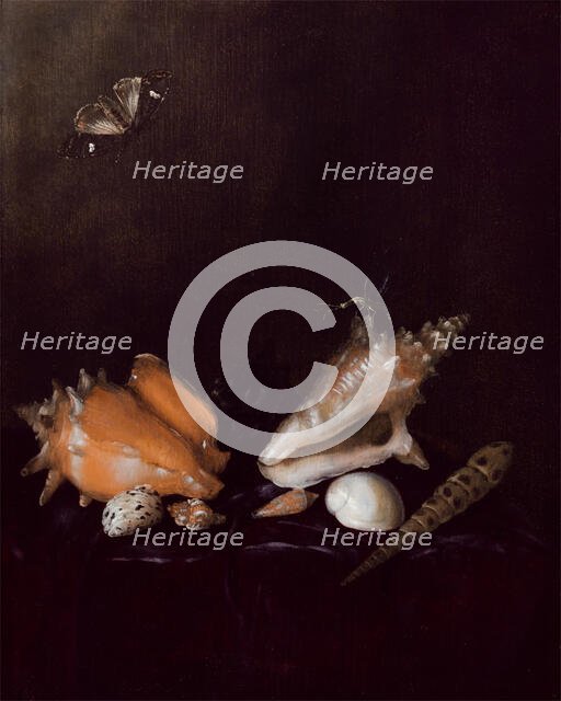 Still Life with Shells and Insects, 1656. Creator: Pieter van de Venne.