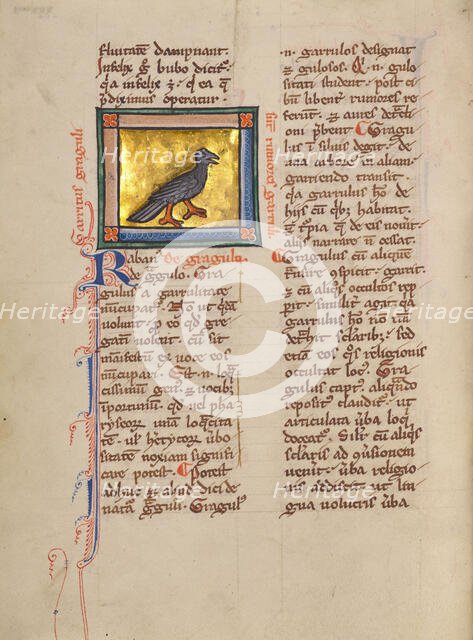A Jackdaw; Bestiary, about 1270. Creator: Unknown.