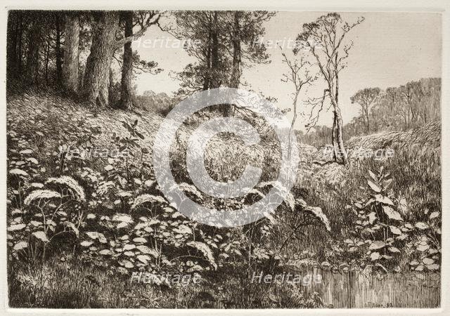 A Summer Afternoon, 1882. Creator: Elis F. Miller (American).