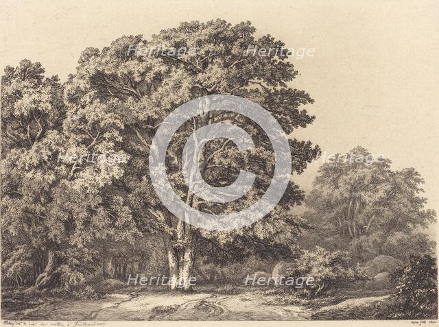 Entrance to a Forest, 1840. Creator: Eugene Blery.