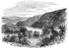 Sharpham, on the Dart, Devon - the Largest Rookery in England, 1856.  Creator: Edmund Evans.