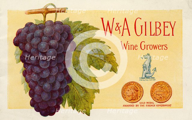 W&A Gilbey wine growers, 19th century. Artist: Unknown