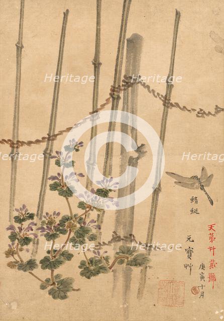 Bamboo Fence and Chrysanthemums, c. 1890. Creator: Kono Bairei (Japanese, 1844-1895).