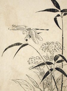 Dragonfly, Coxcomb and Bamboo, Printed 1762. Creator: Miyazaki Yuzen.