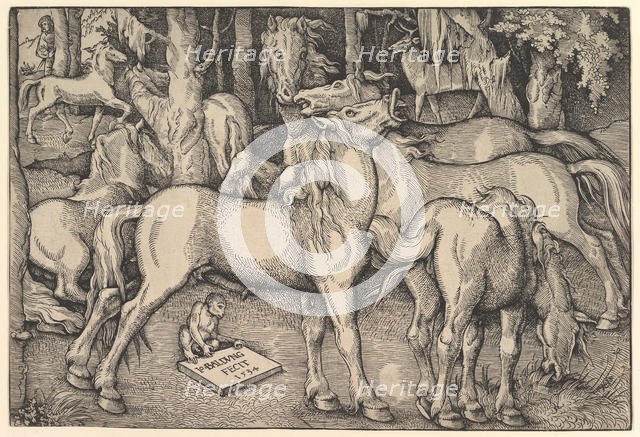 Group of Seven Horses, 1534. Creator: Hans Baldung.
