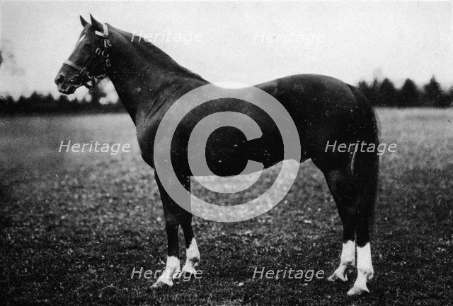 'Wildfowler', 19th century, (1911). Artist: Unknown.