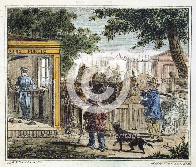 Public weighbridge used to weigh cattle in a market, 1867. Artist: Unknown