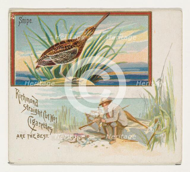 Snipe, from the Game Birds series (N40) for Allen & Ginter Cigarettes, 1888-90. Creator: Allen & Ginter.