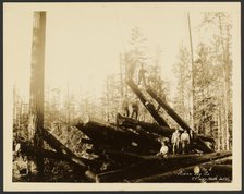 Loggers, about 1910-1930. Creator: Darius Kinsey.