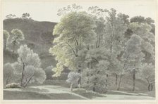 Trees in the Subiaco area, 1778-1847. Creator: Josephus Augustus Knip.